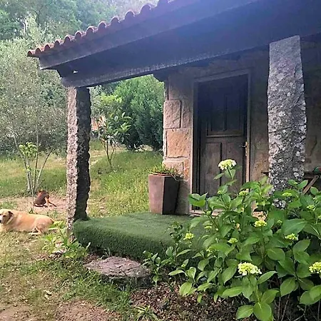 Forest House Casinha Do Carvalhal 4* וילה נובה דה סרביירה