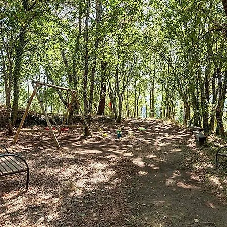 Forest House Casinha Do Carvalhal 4*