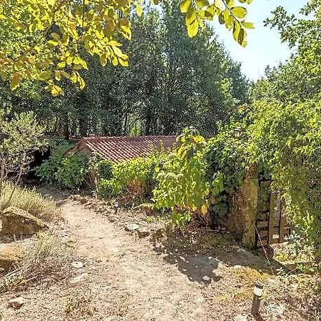 Forest House Casinha Do Carvalhal 4* וילה נובה דה סרביירה