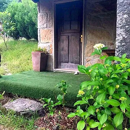 Forest House Casinha Do Carvalhal